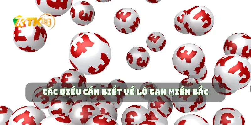 Các điều cần biết về lô gan miền Bắc