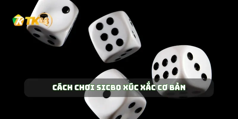 Cách chơi sicbo xúc xắc cơ bản